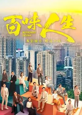 繁花 电视剧 2023 王家卫